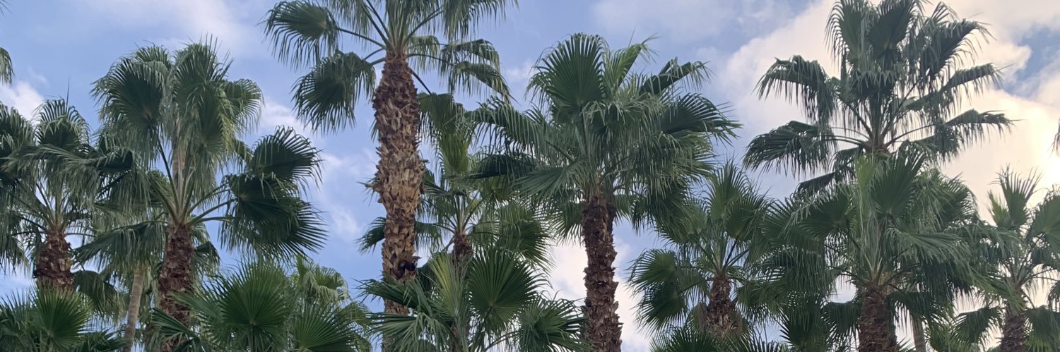 kcosbo's profile banner image