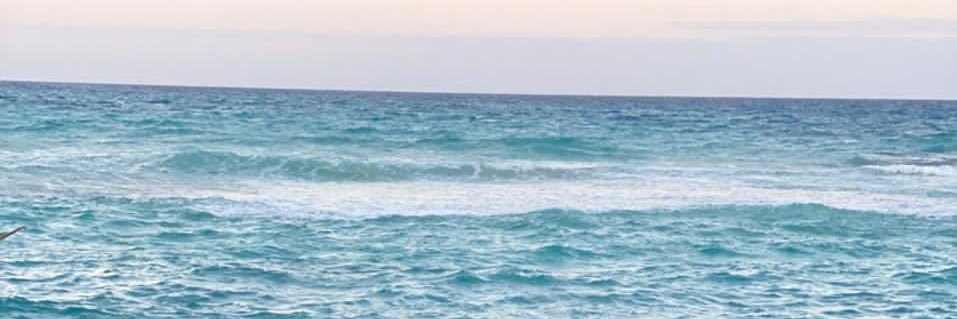 aCarolina68's profile banner image