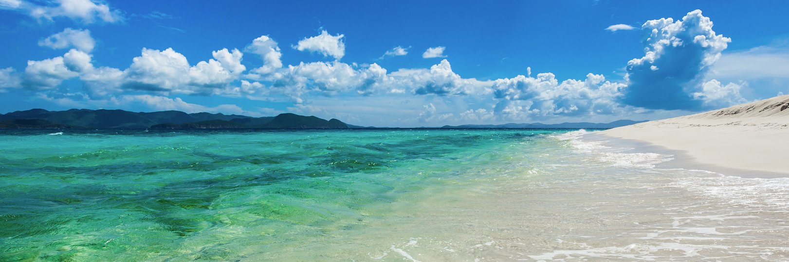 Sharon Janzen banner