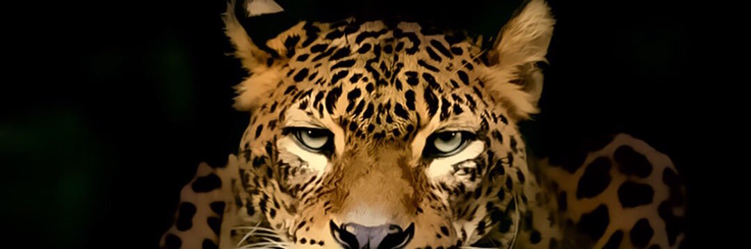 QueenTishere's profile banner image