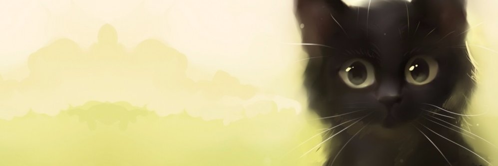 Bedawn23's profile banner image