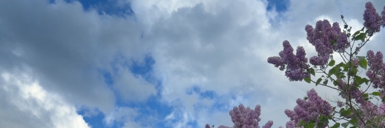 pickourlocks's profile banner image