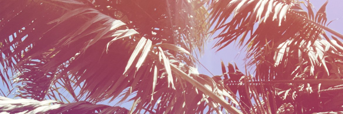 hillaryyb's profile banner image