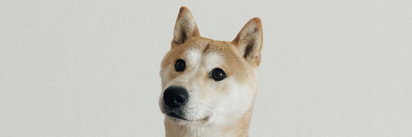 carrm__'s profile banner image