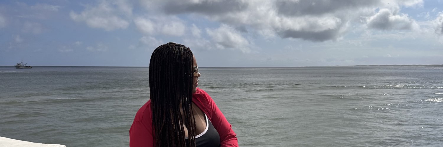 siribrinsky's profile banner image