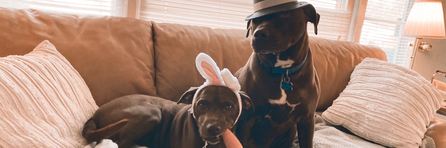 AshtonHAnderson's profile banner image