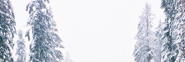CBURezLife's profile banner image