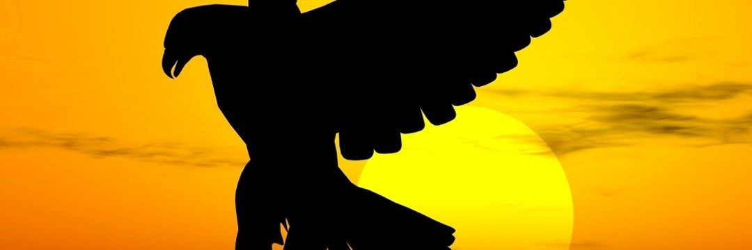 abobaasel's profile banner image