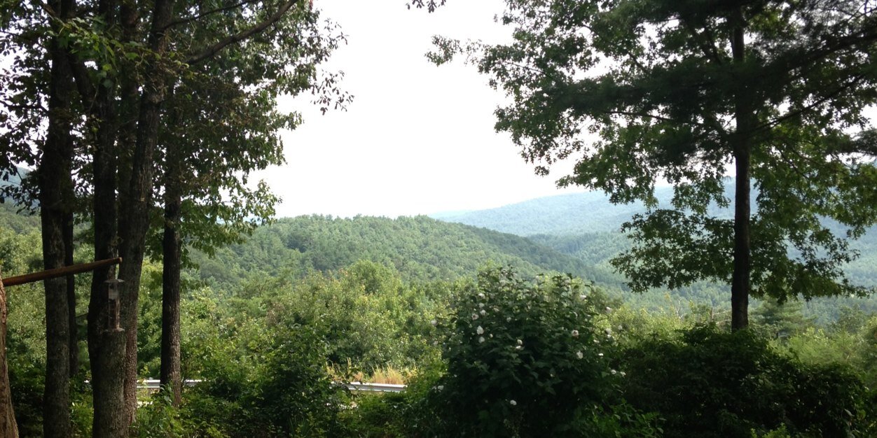 MeredithChurch's profile banner image