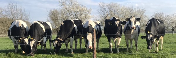 TRompelberg Profile Banner