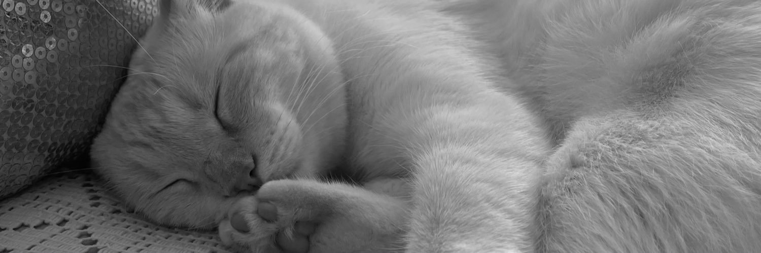 laruiizzz's profile banner image