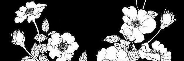 Myrup_1's profile banner image