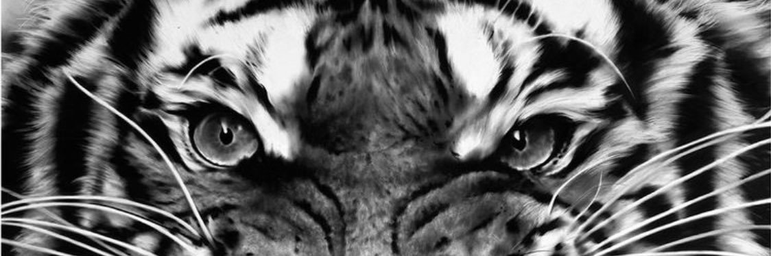andersonsena__'s profile banner image