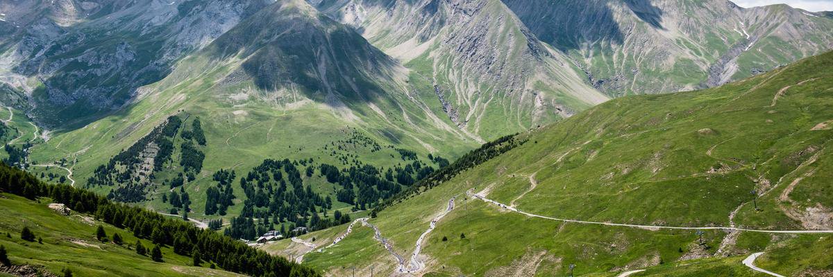 ᴍᴀʀᴋ ✶✶✶✶ banner