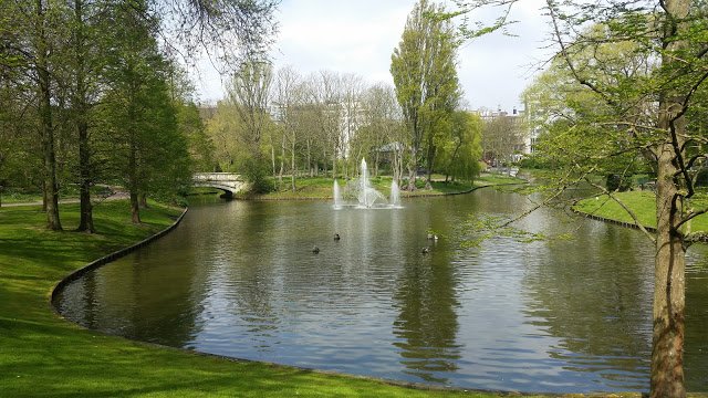 linn_agerhem's profile banner image