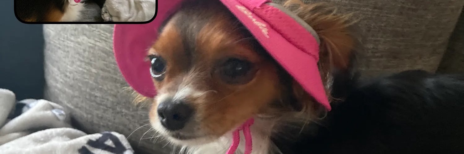 _veronicaingle's profile banner image