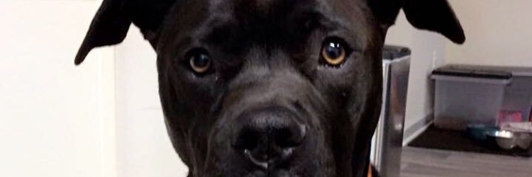sarbear523's profile banner image