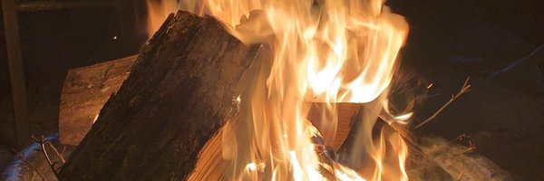 berthacb1 Profile Banner