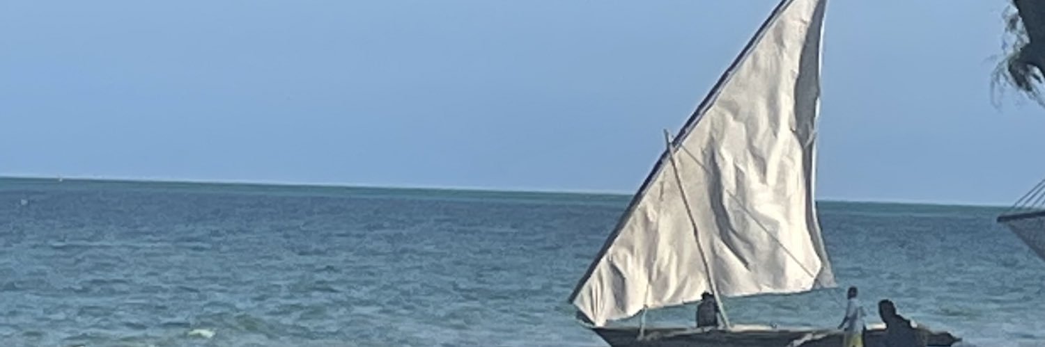 debshealy's profile banner image