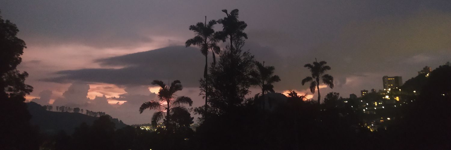 Leismarmg's profile banner image