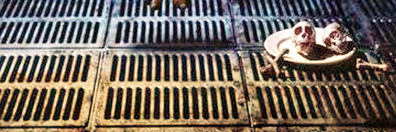 OrphicalRodeo's profile banner image