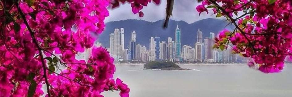 Realitys_EmFoco's profile banner image