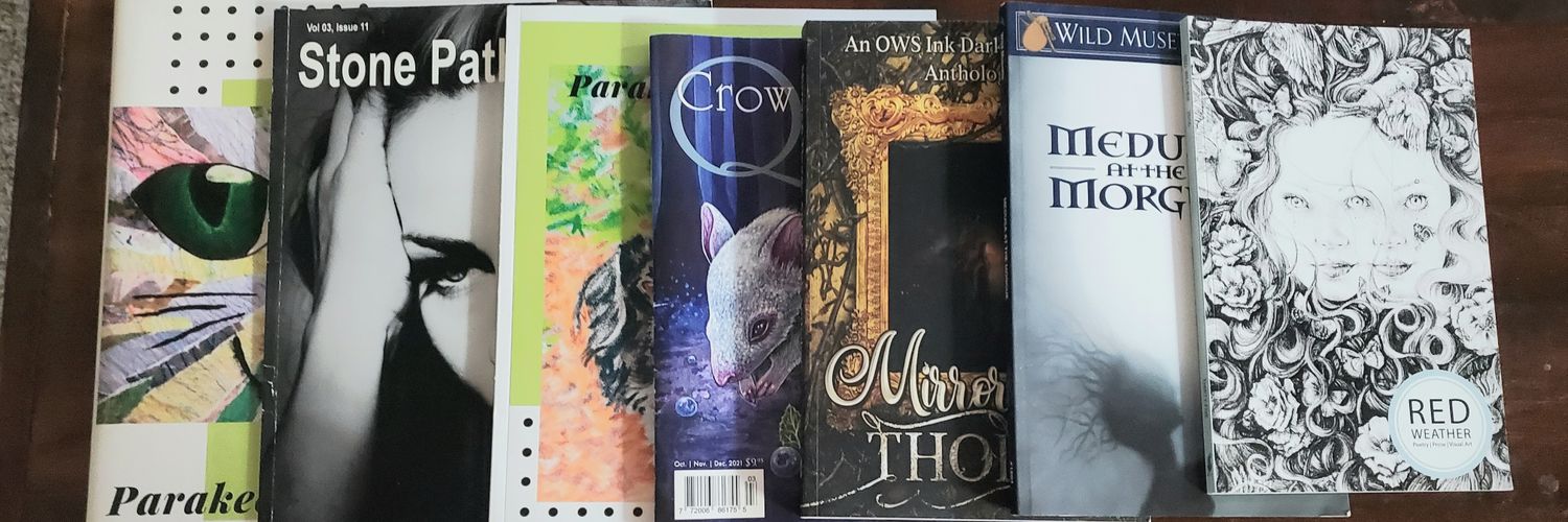 🇵🇸 Sarah Nour 🇱🇧 banner