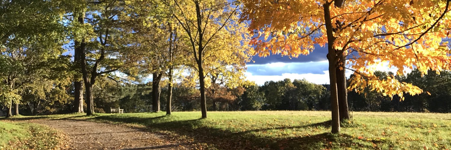 courtasee's profile banner image