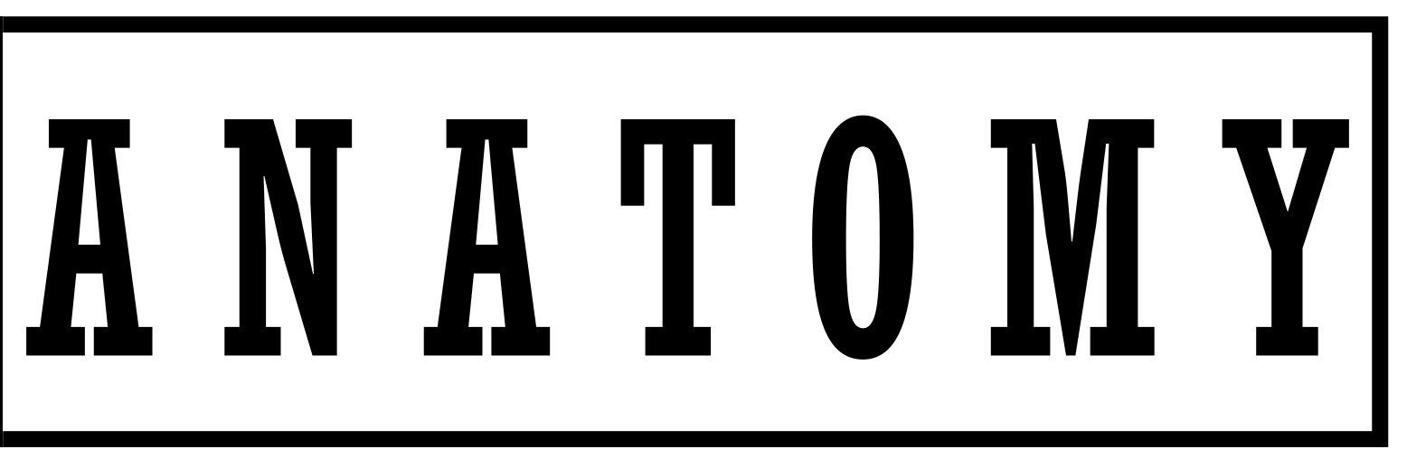 AnatomySP's profile banner image