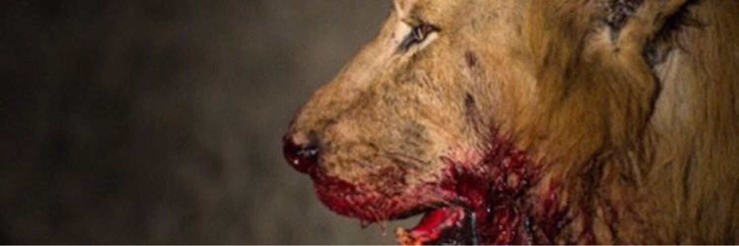PapaGup33's profile banner image