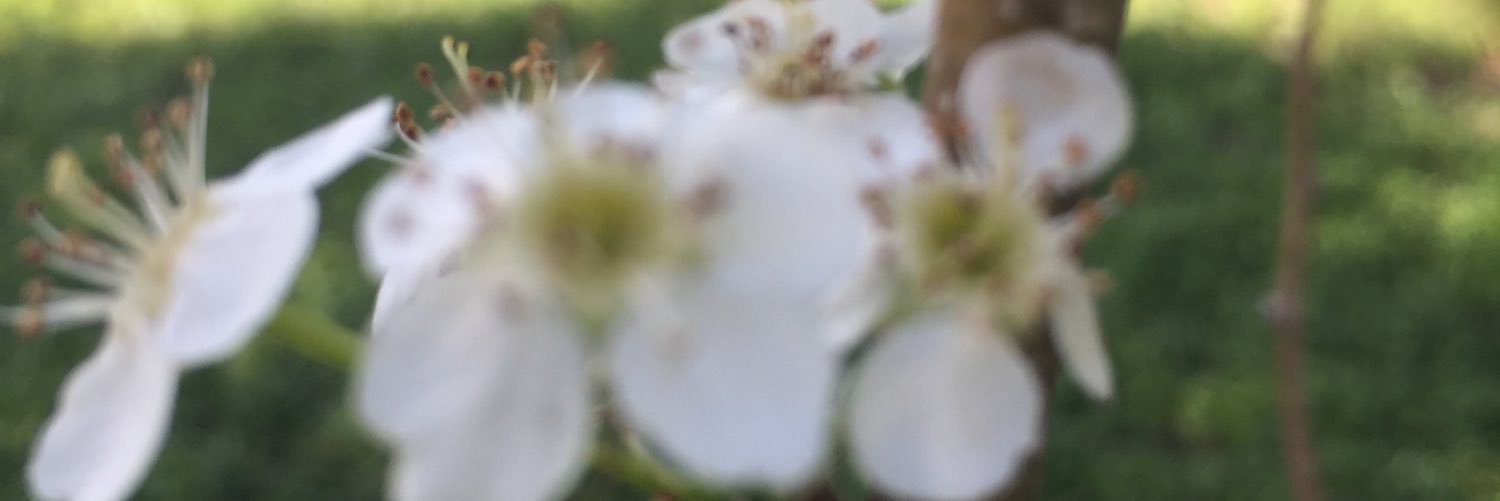 davvalerio's profile banner image