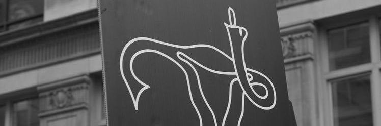 cami_yniguez's profile banner image
