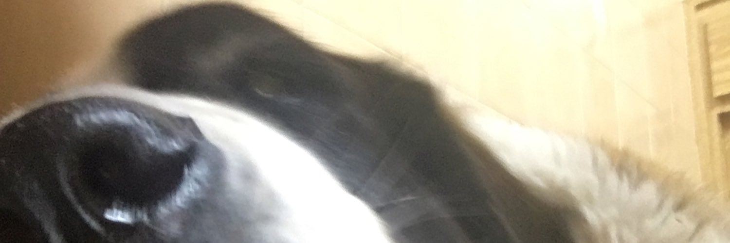 reulica's profile banner image