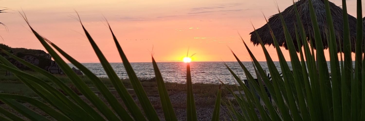 Got The Hell Out banner