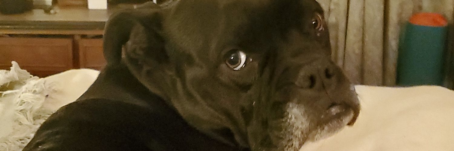 JamminEx's profile banner image