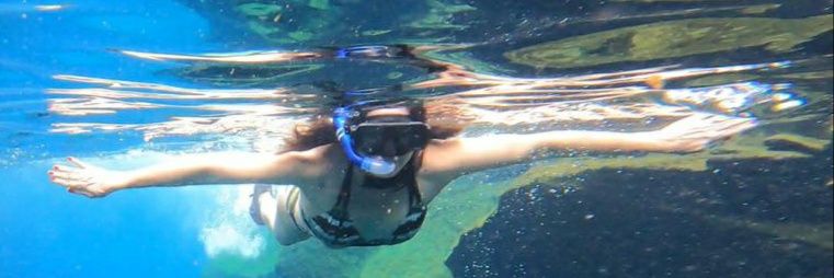 Sol Muñoz A. banner