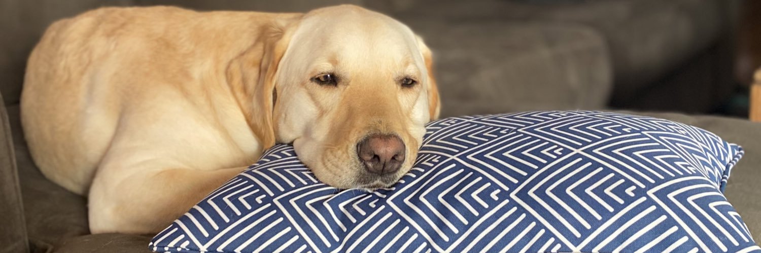 Hannah Margaret Clare banner