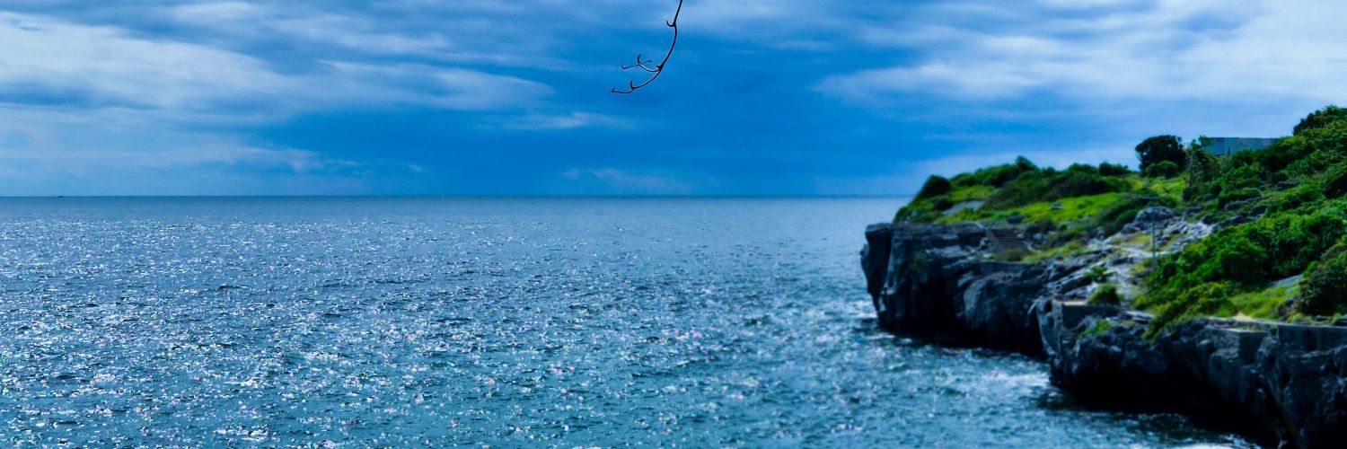 Vanazia's profile banner image