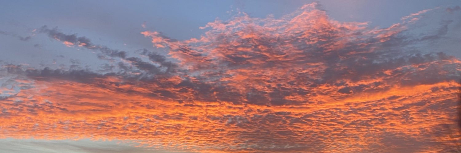 mckennapace0's profile banner image