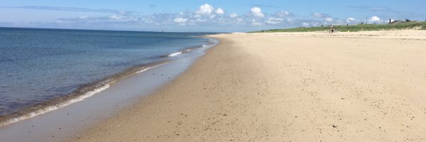 RobDesisto Profile Banner