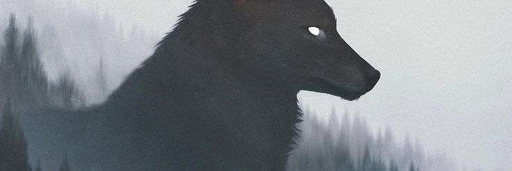 Đ banner