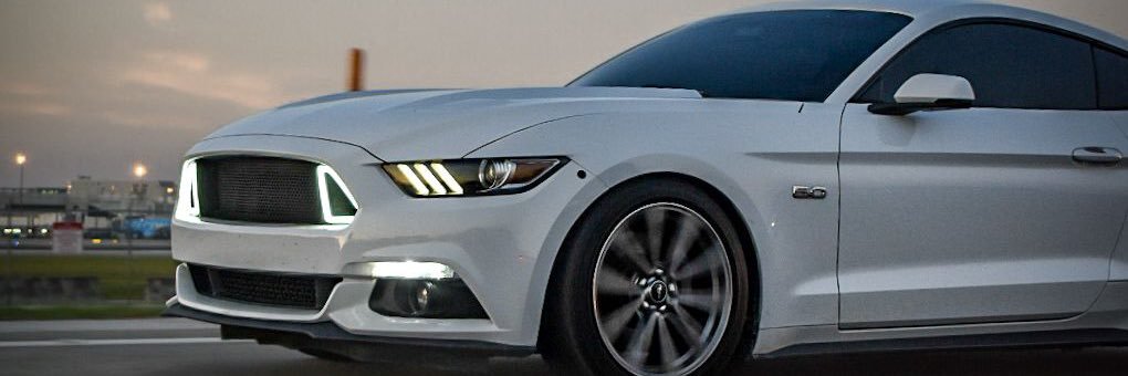 king_fritz13's profile banner image