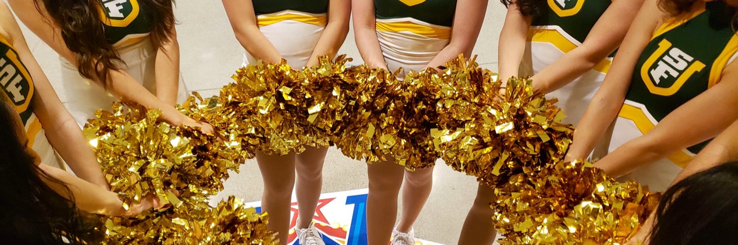 USF Spirit Squad banner