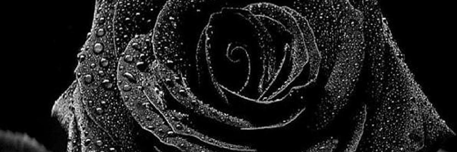 rameysatterly's profile banner image