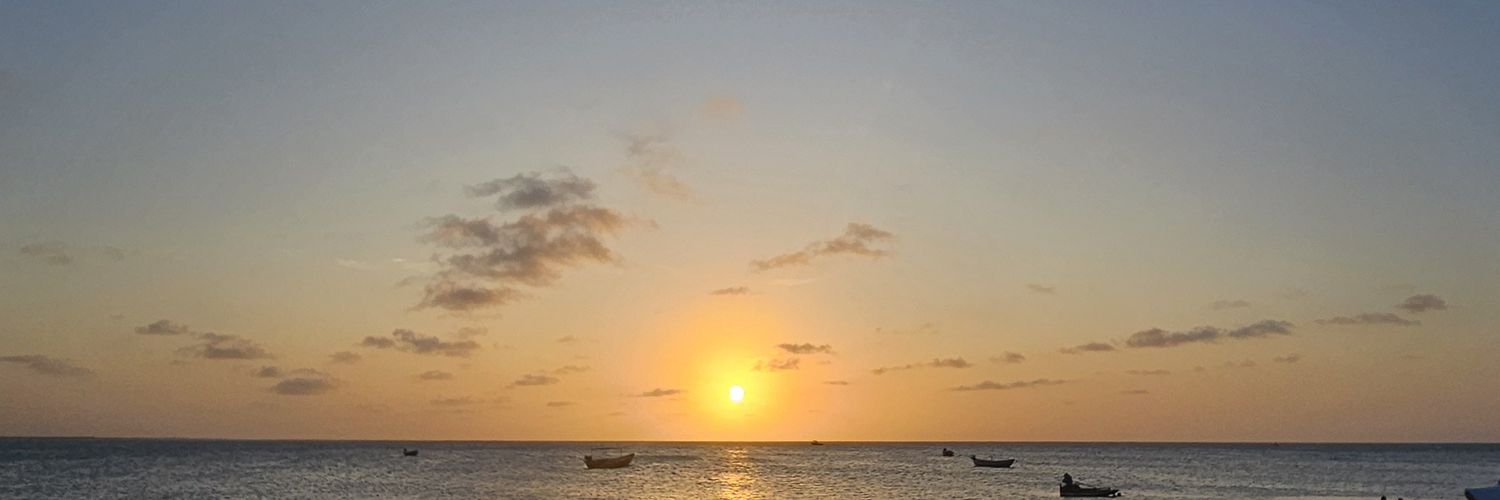 phds__'s profile banner image