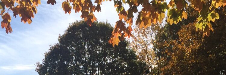 Its_Courtney18's profile banner image