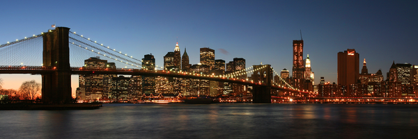 StephSaccente Profile Banner