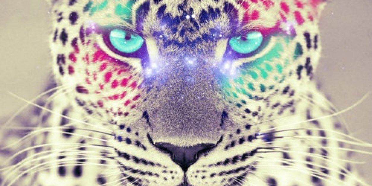ummulwasil's profile banner image