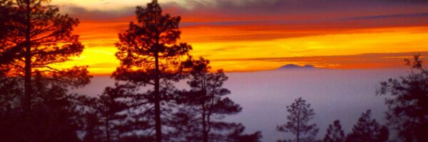 CaCigar Profile Banner