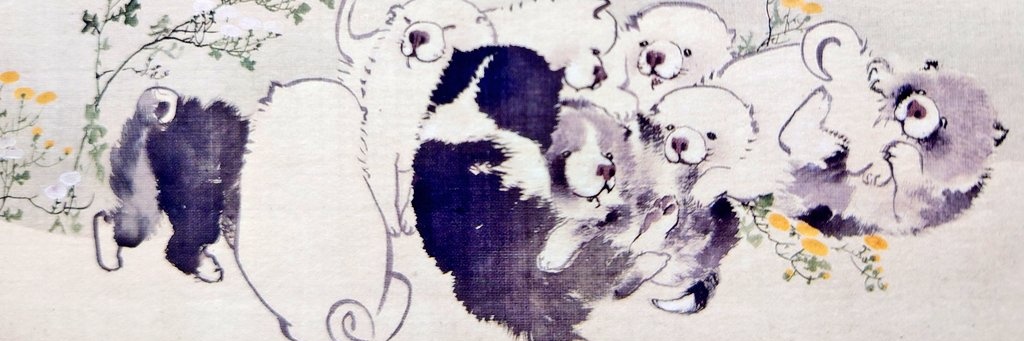 safa_are's profile banner image